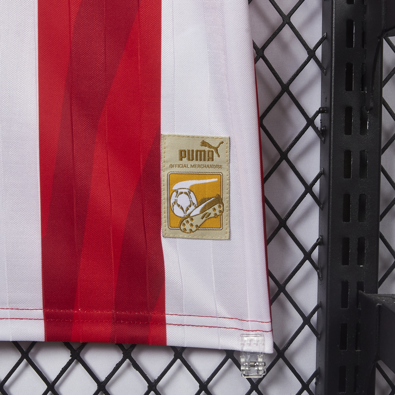 foot-Chivas de Guadalajara 25-26 Special Polo Jersey - Fans Version