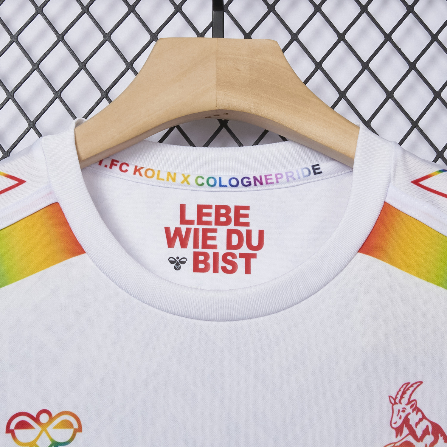 foot-1. FC Köln 2024-25 Pride Diversity Special Edition Jersey - Fans Version