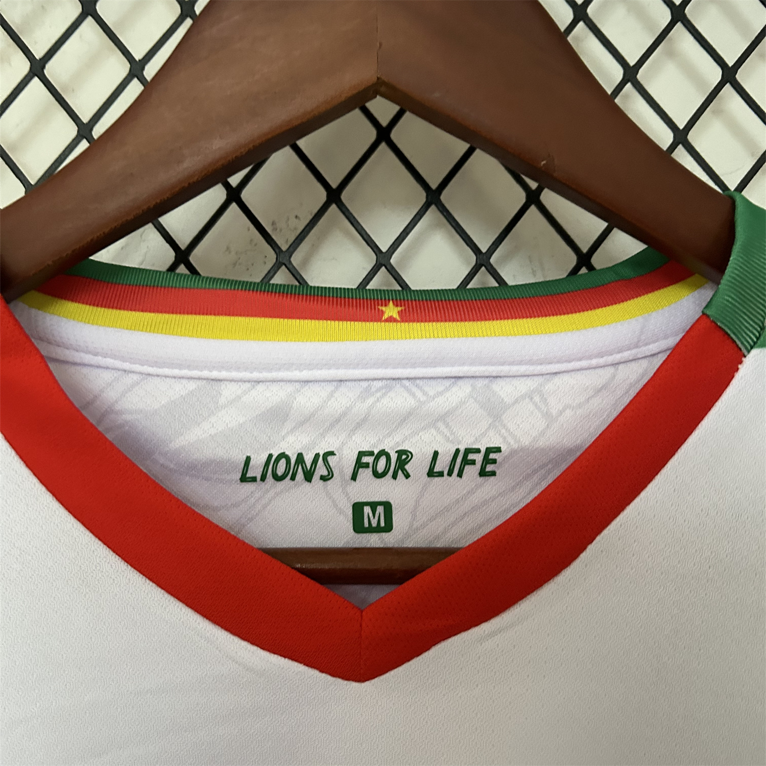 foot-Cameroon 25-26 Third Jersey - Fans Version