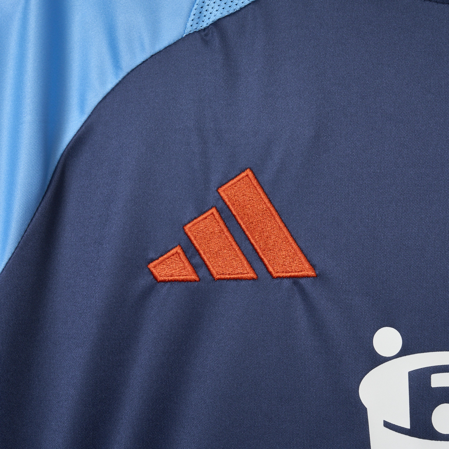 foot-Hamburger SV 24-25 World Girls' Day Blue Special Jersey - Fans Version