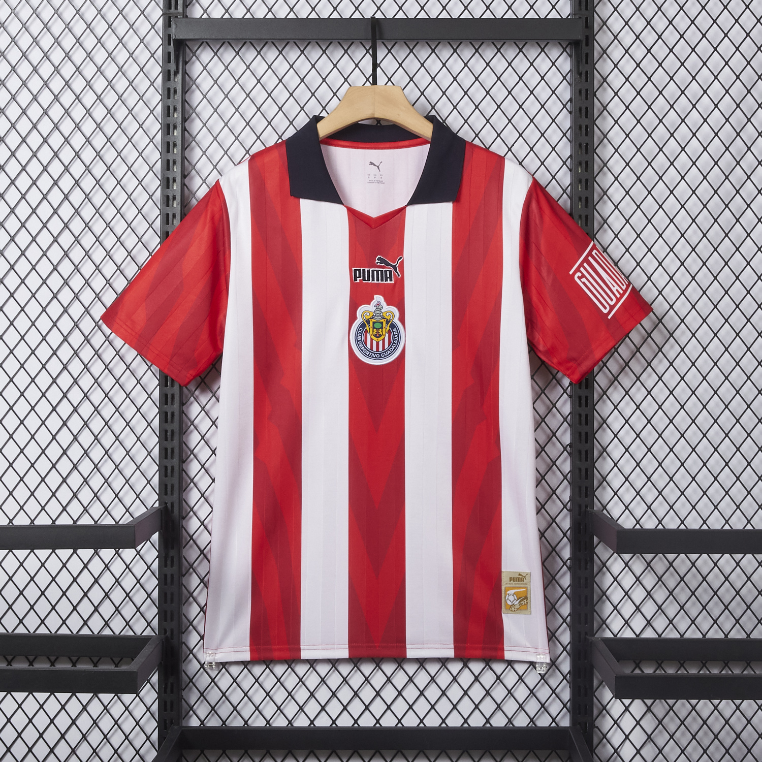 foot-Chivas de Guadalajara 25-26 Special Polo Jersey - Fans Version