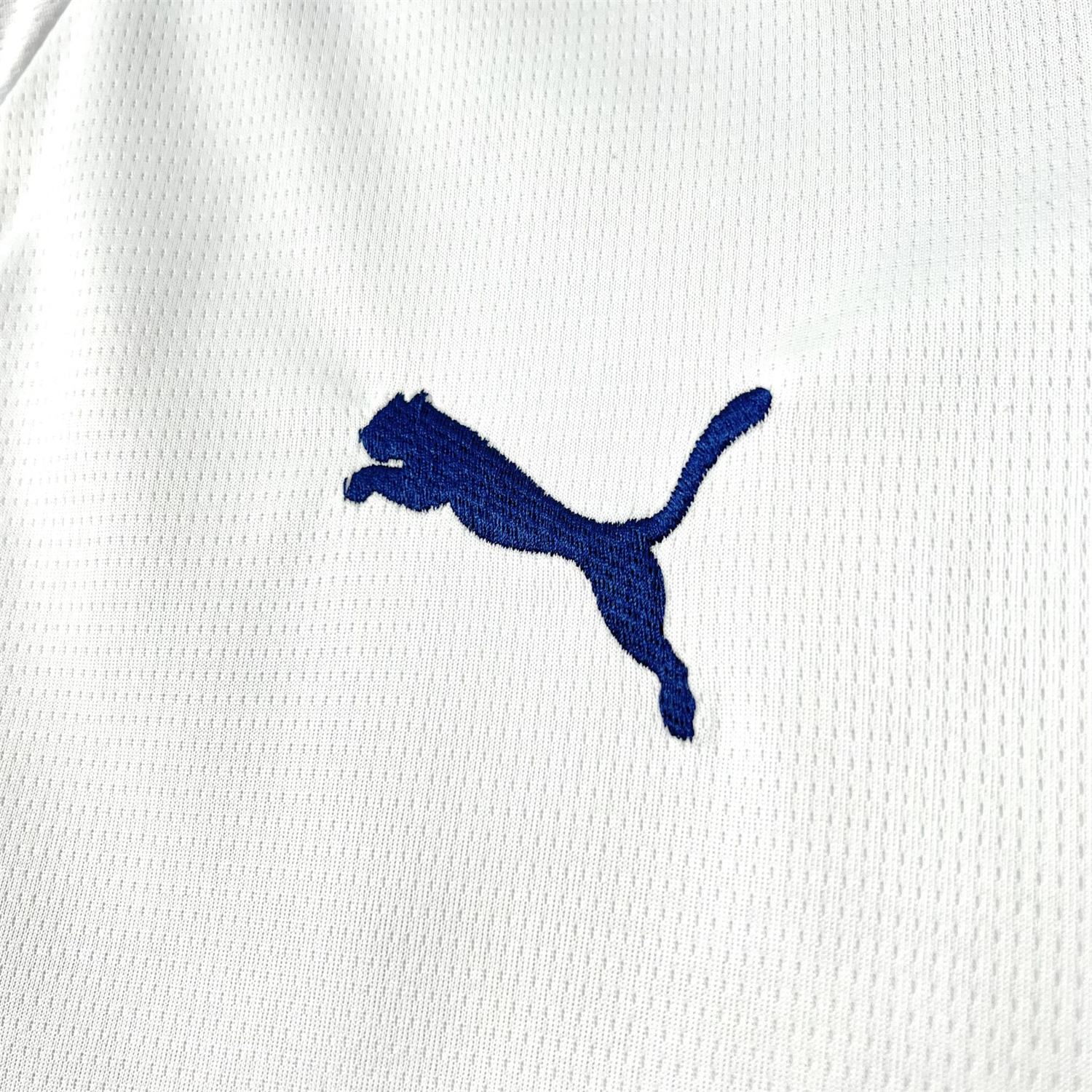 Funinjersey-Bahia 26-27 Home Jersey - Fans Version