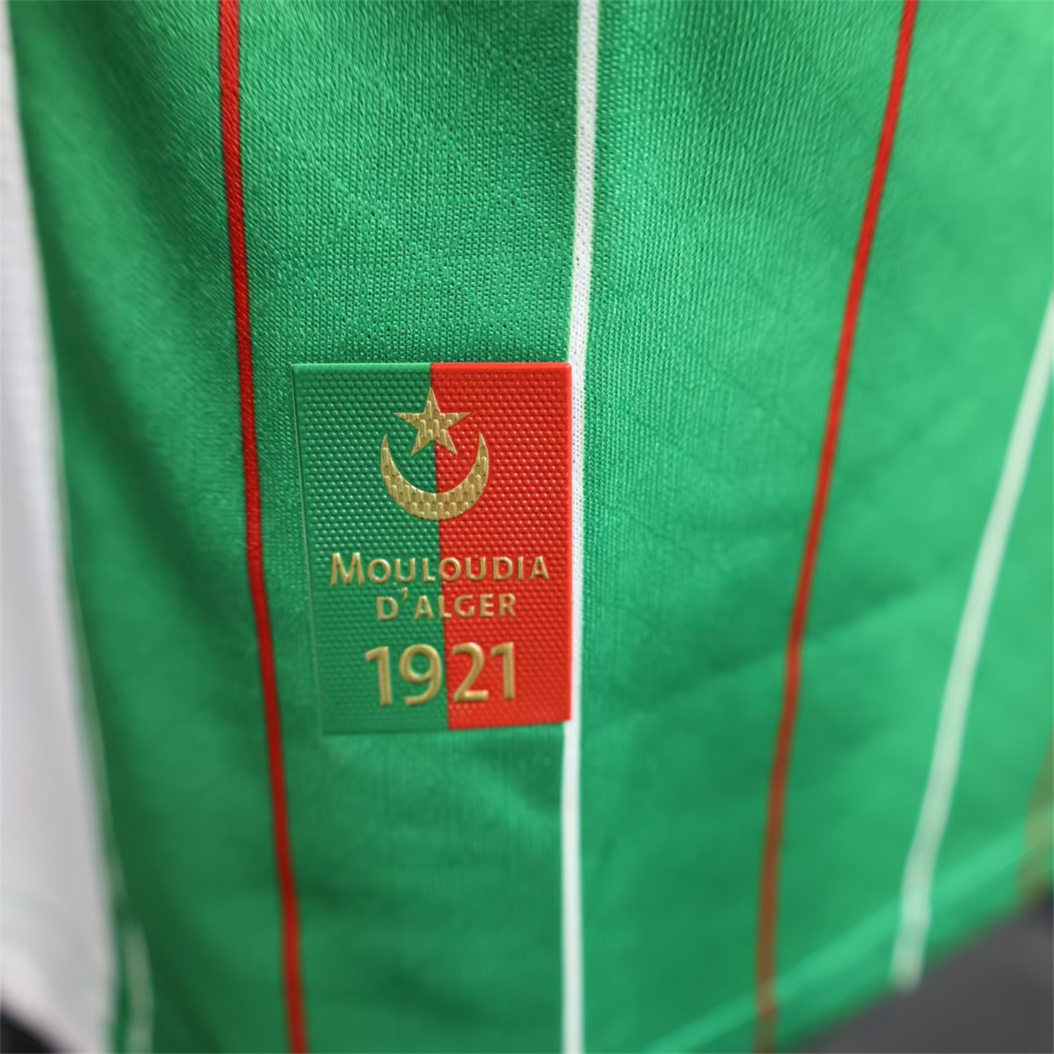 foot-Club Deportivo Palestino Palestine 25-26 Green Special Jersey - Player Version