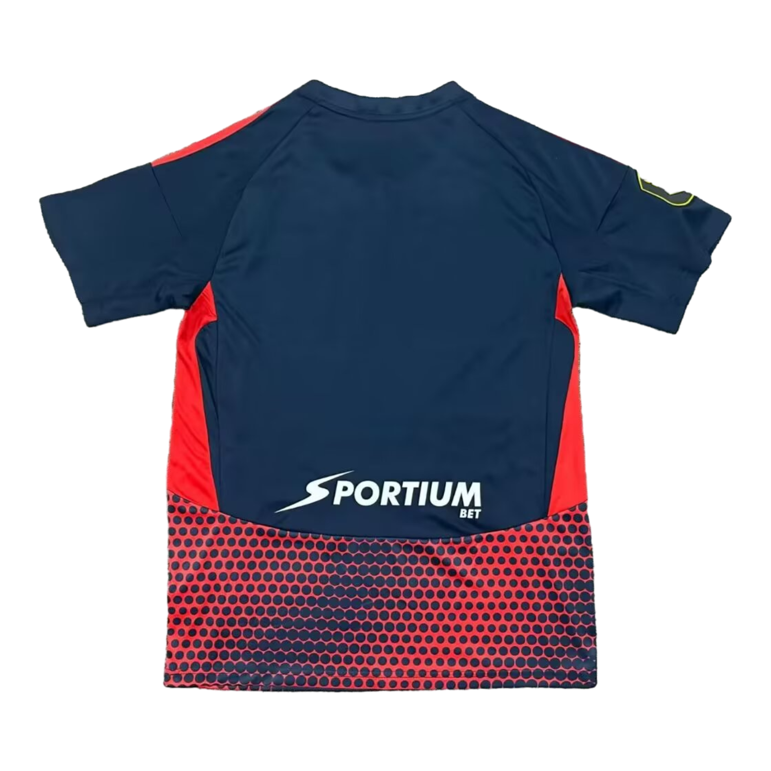 foot-Galácticos del Caribe 25-26 Home Jersey - Fans Version