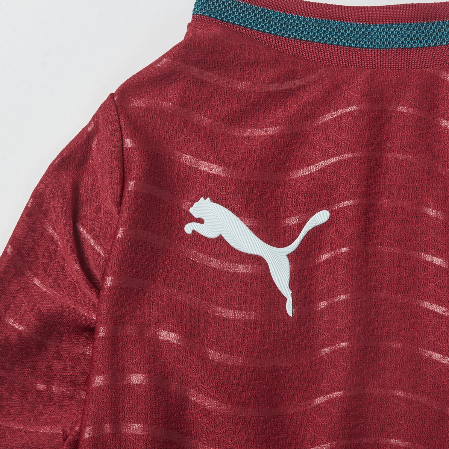 Funinjersey-Portugal 2026 Home Pet Jersey - Player Version