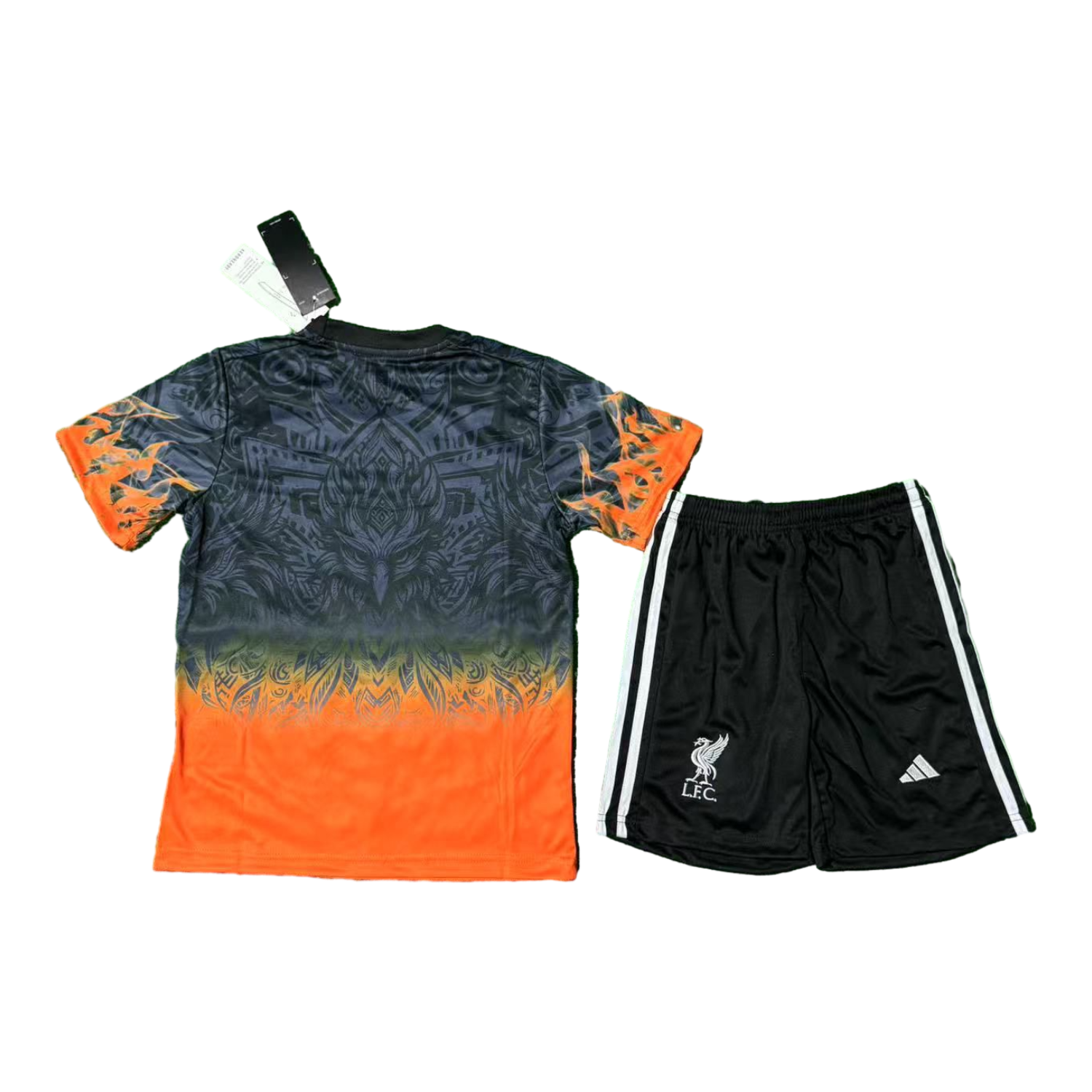 foot-Liver.pool 25-26 Orange Liver.pool Bird Black Special Kids Kit