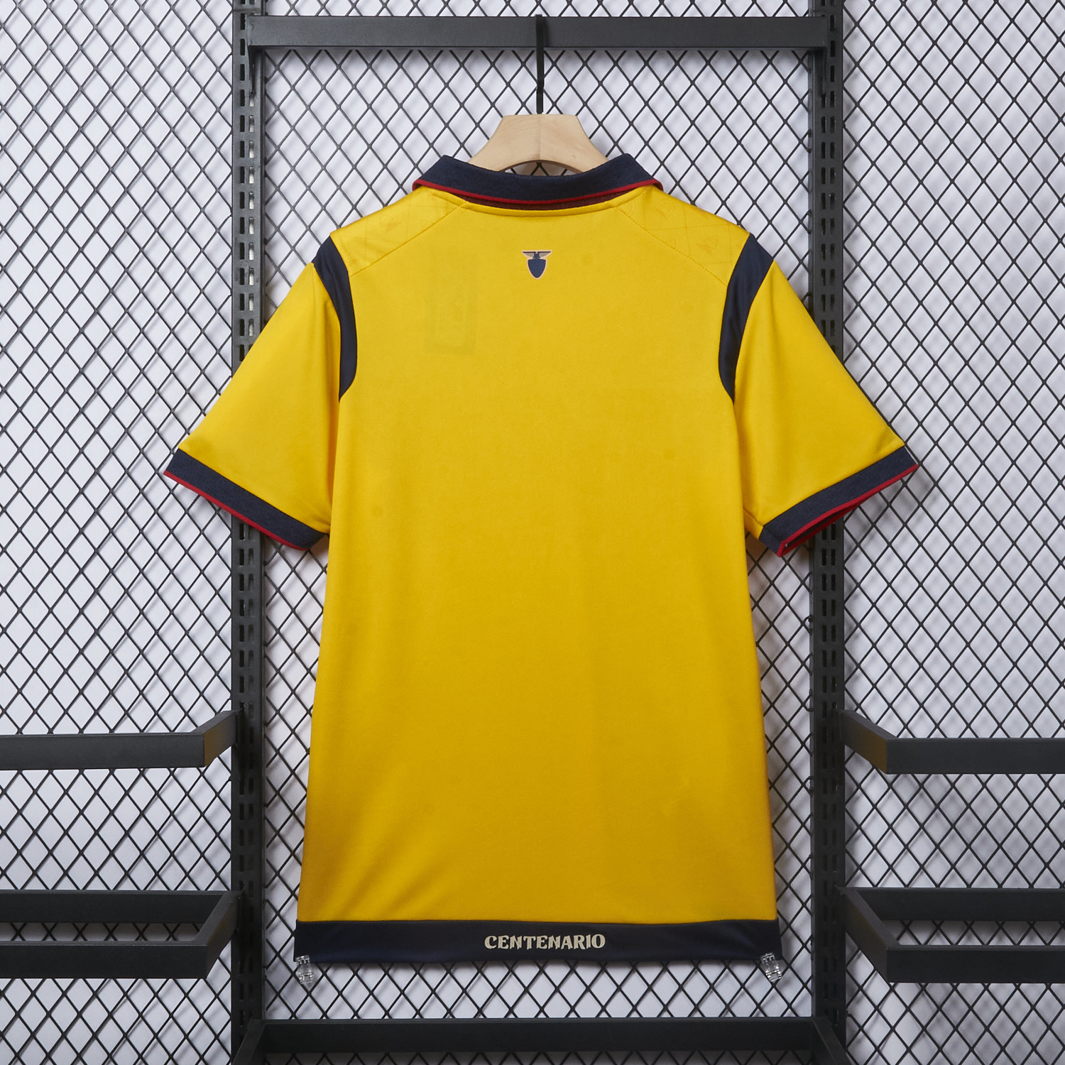 foot-Ecuador 2025 Centenary Home Jersey - Fans Version