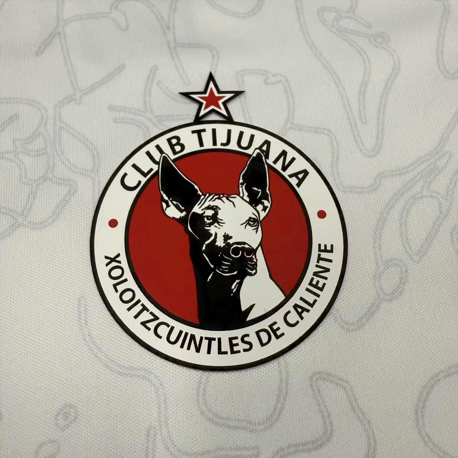 foot-Tijuana 25-26 Away Kids Kit