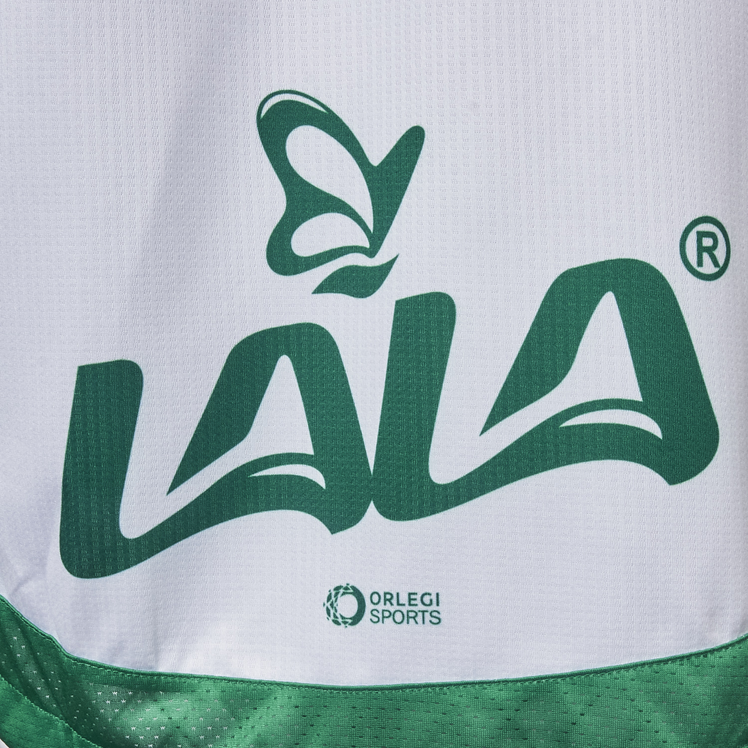 foot-Santos Laguna 25-26 Home Jersey - Player Version