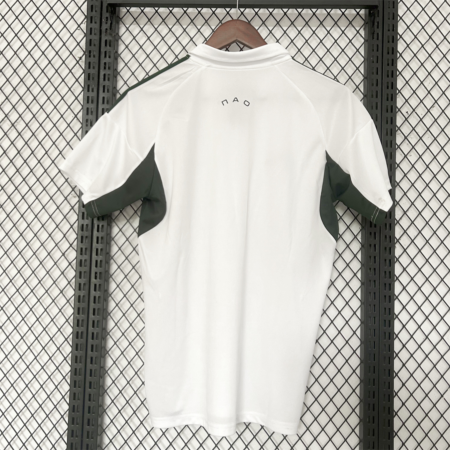 foot-Panathinaikos 25-26 Away Jersey - Fans Version