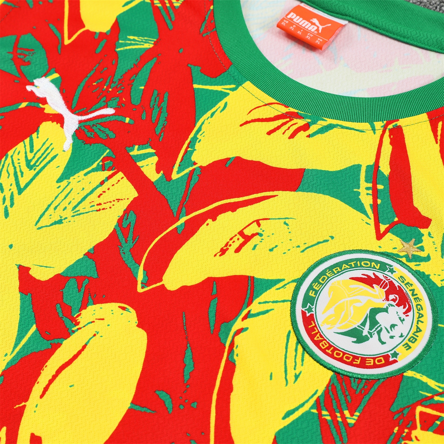 SIUjerseys-Senegal 2026 Vest Training Set - Variegated Vest and Green Shorts