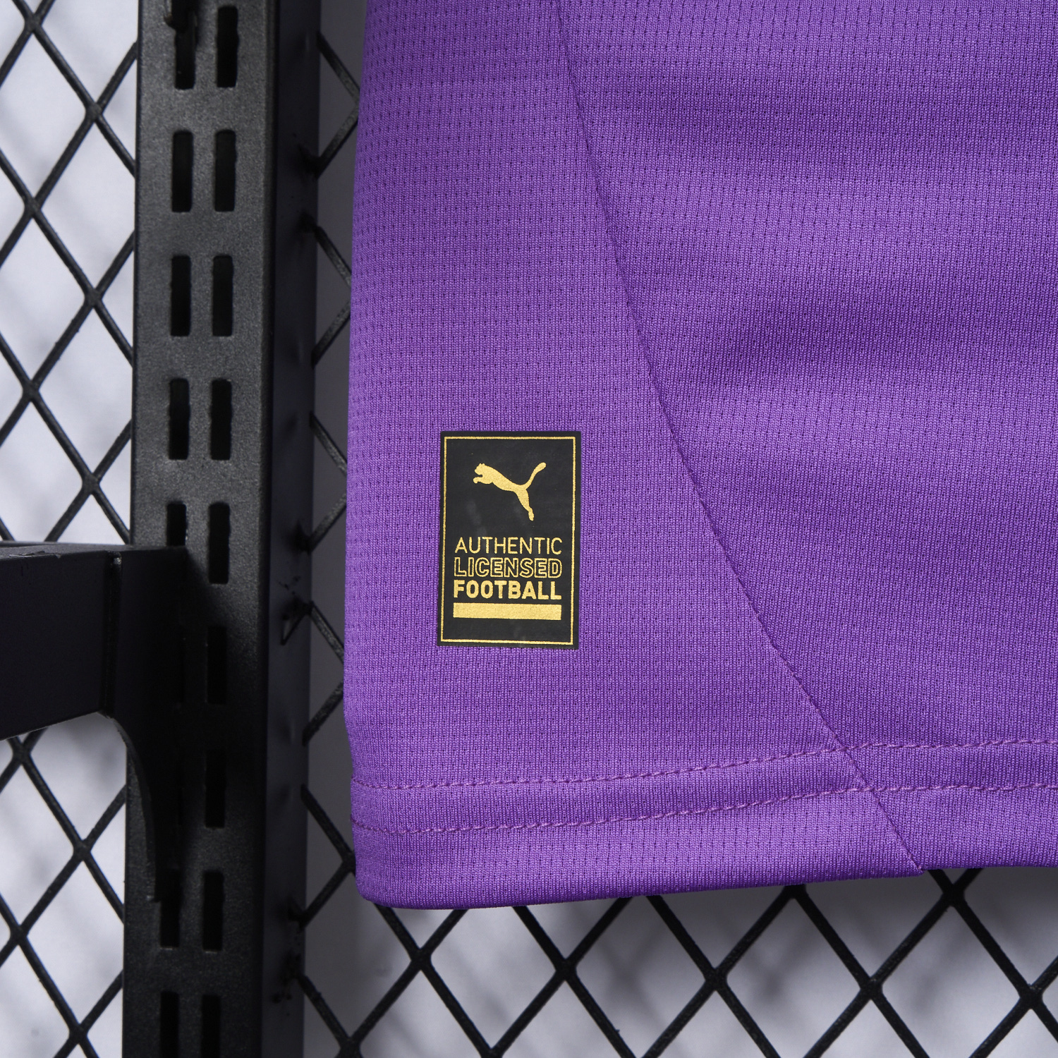 foot-Dortmund 24-25 Purple Goalkeeper Special Edition Jersey - Fans Version