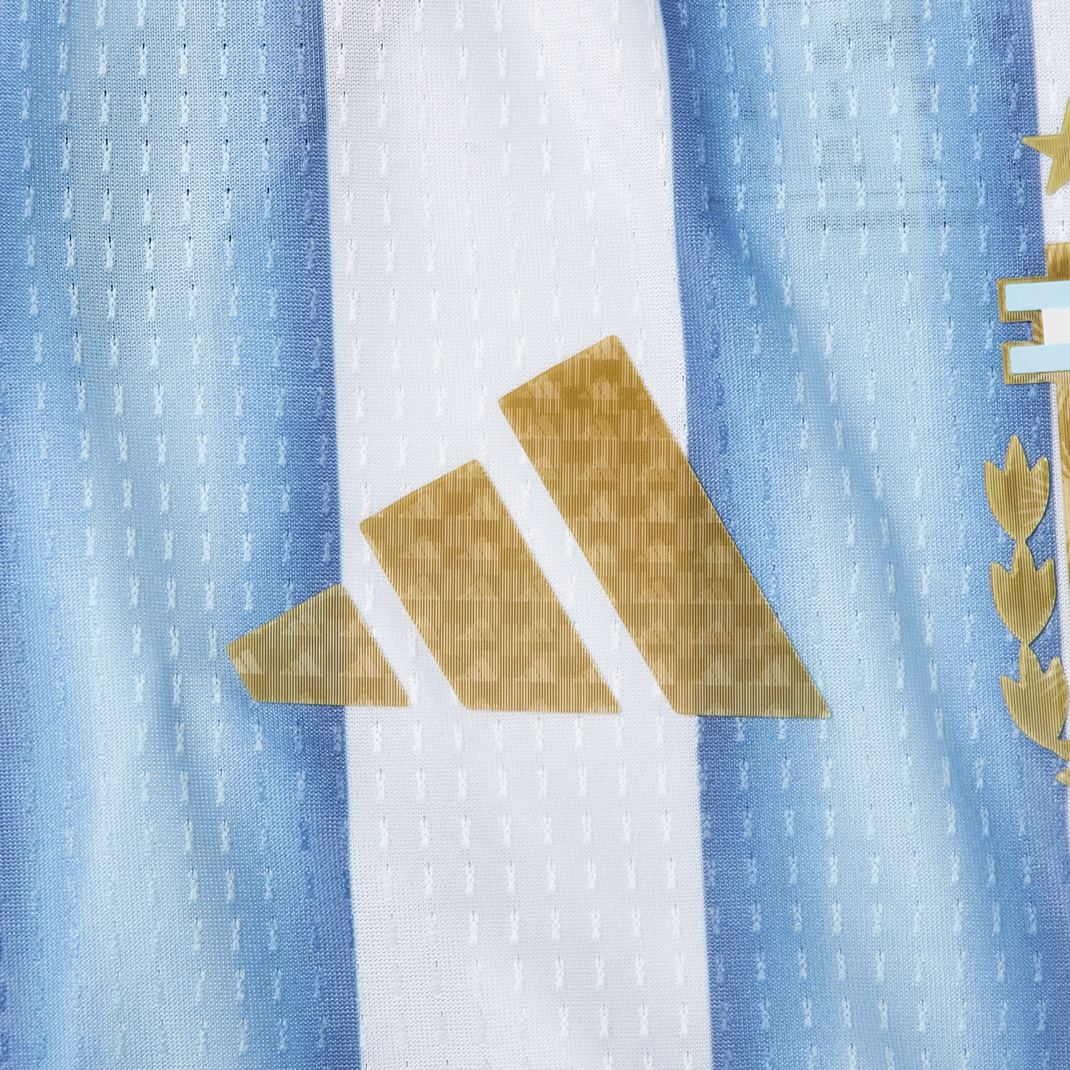 Funinjersey-Argentina 2026 Home Pet Jersey - Player Version