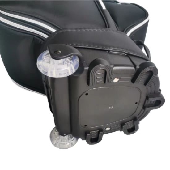 TITLESIT TAYLORMADE G/FORE GOLF BAG