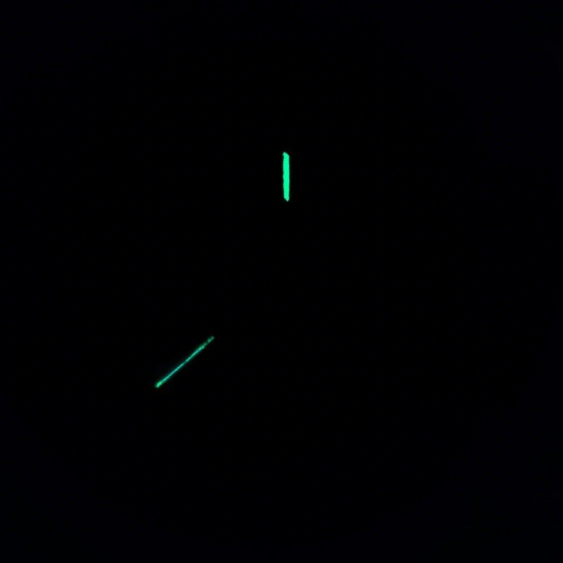 Rolex Daytona 116509 Black Dial in Steel-fasswatch