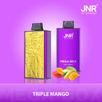 JNR Vape Disposable Vape | JNR Mega Box 25000 Puffs Disposable Vape-JNR Vape Now