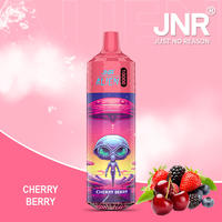 JNR Vape Disposable Vape | JNR Vape Alien 10K Puffs Disposable Vape-JNR Vape Now