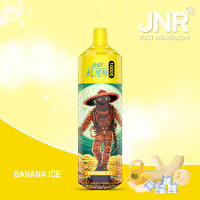 JNR Vape Disposable Vape | JNR Vape Alien 10K Puffs Disposable Vape-JNR Vape Now