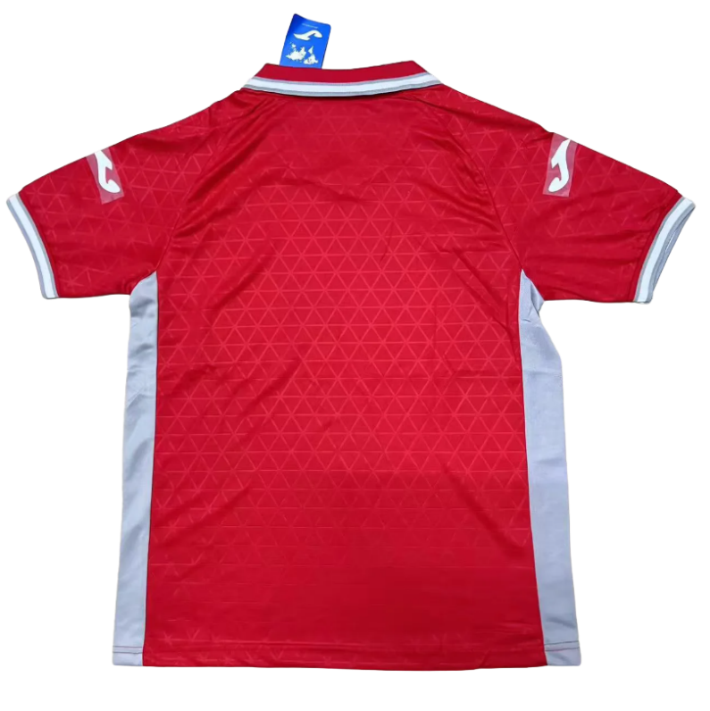 25-26 Cordoba Second away soccer jersey-Fans Version: Ajax 24-25 Home Stadium Jersey - Fans Version : Adidas luxuryfootballshirts.com: https://www.luxuryfootballshirts.com/