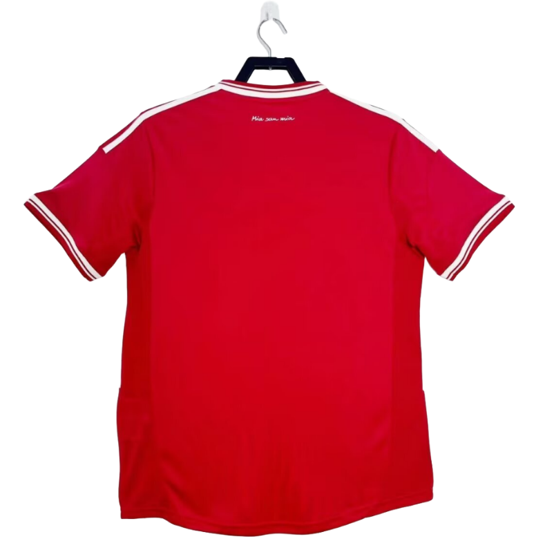 13-14 Bayern Munich Home soccer jersey-Retro version: Ajax 24-25 Home Stadium Jersey - Fans Version : Adidas luxuryfootballshirts.com: https://www.luxuryfootballshirts.com/
