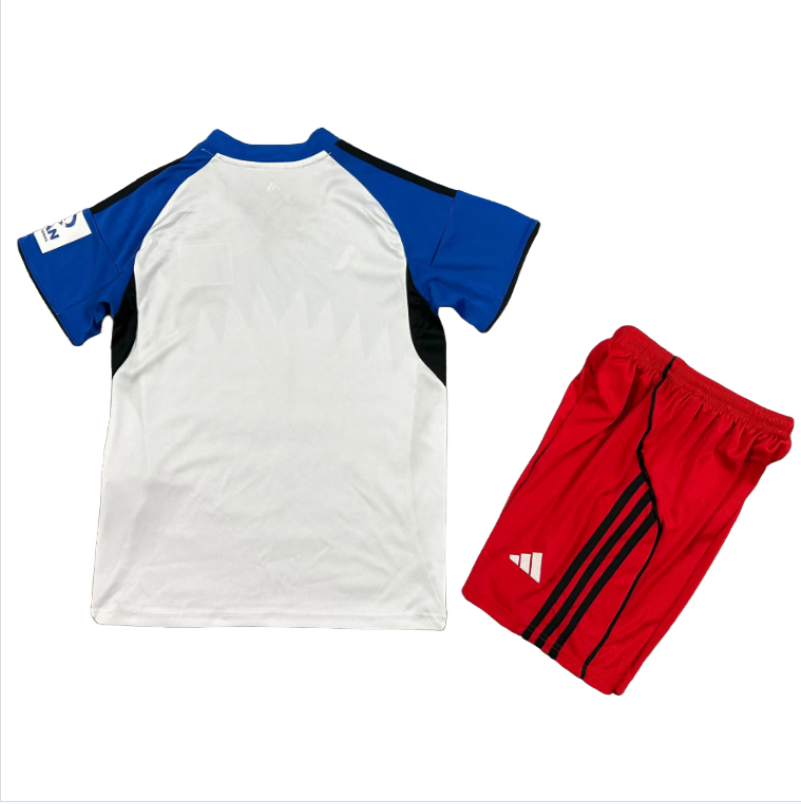 25-26 kids kit Hamburger Home soccer jersey-Fans Version: Ajax 24-25 Home Stadium Jersey - Fans Version : Adidas luxuryfootballshirts.com: https://www.luxuryfootballshirts.com/