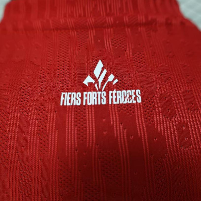 25-26 LOSC Lille Home soccer jersey - Player Version: Ajax 24-25 Home Stadium Jersey - Fans Version : Adidas luxuryfootballshirts.com: https://www.luxuryfootballshirts.com/