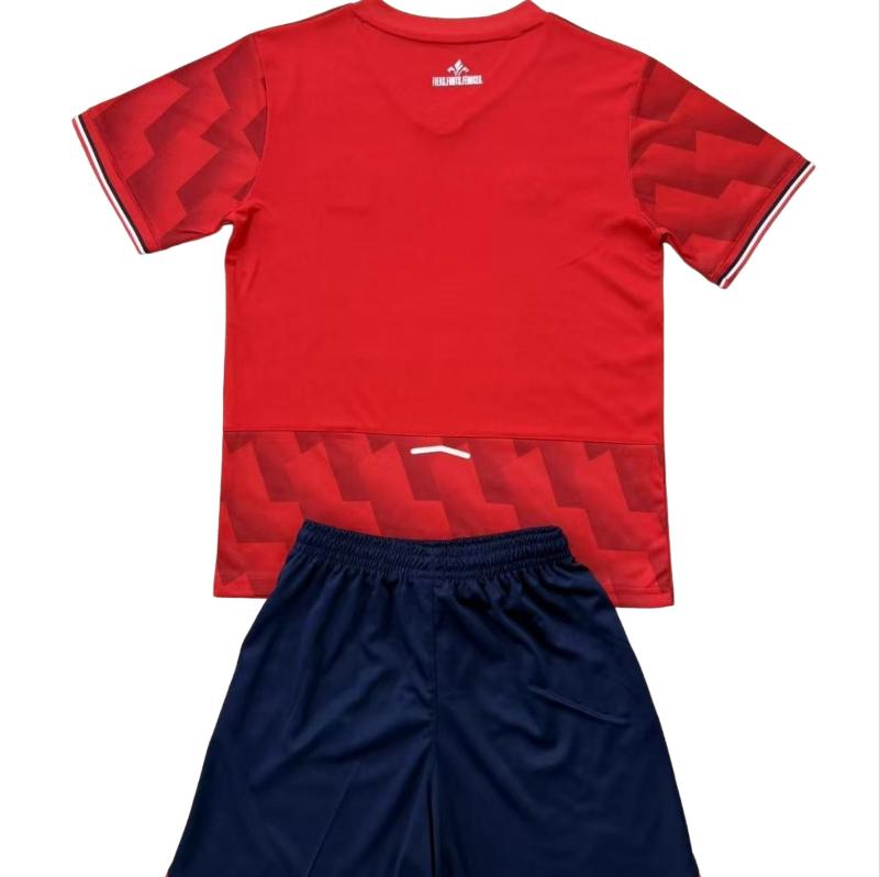 25-26 kids kit LOSC Lille Home soccer jersey - Fans Version: Ajax 24-25 Home Stadium Jersey - Fans Version : Adidas luxuryfootballshirts.com: https://www.luxuryfootballshirts.com/