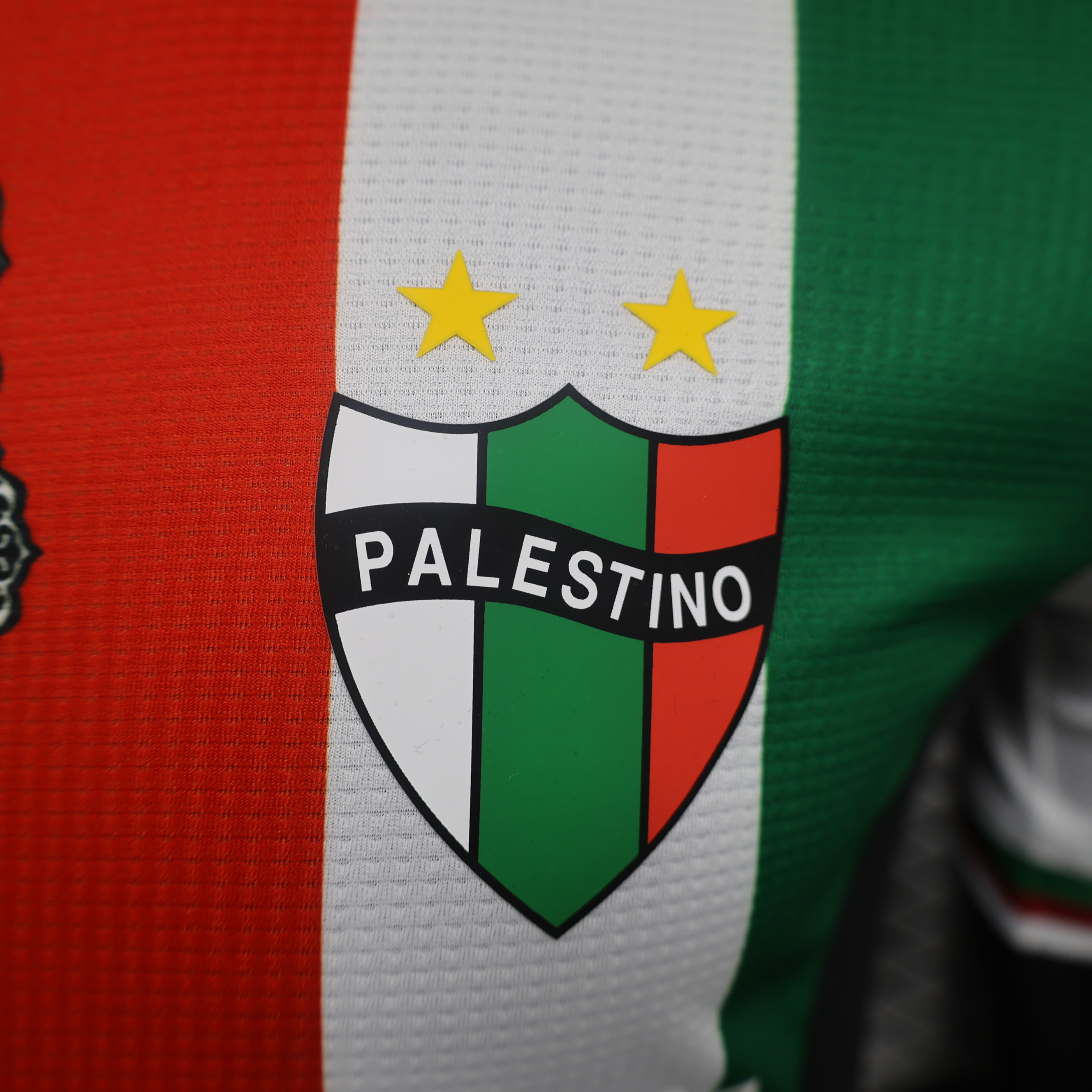 SIUjerseys-Club Deportivo Palestino 2024 Home Jersey - Player Version