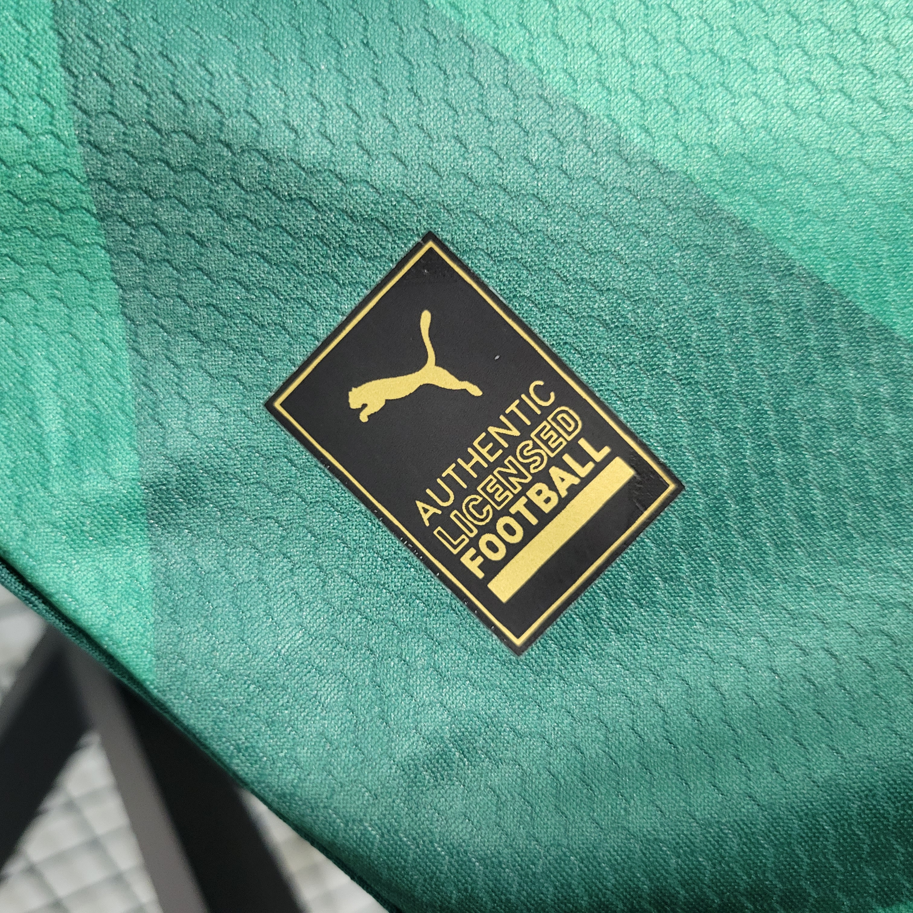 foot-Palmeiras 2023 Home Stadium Kids Kit