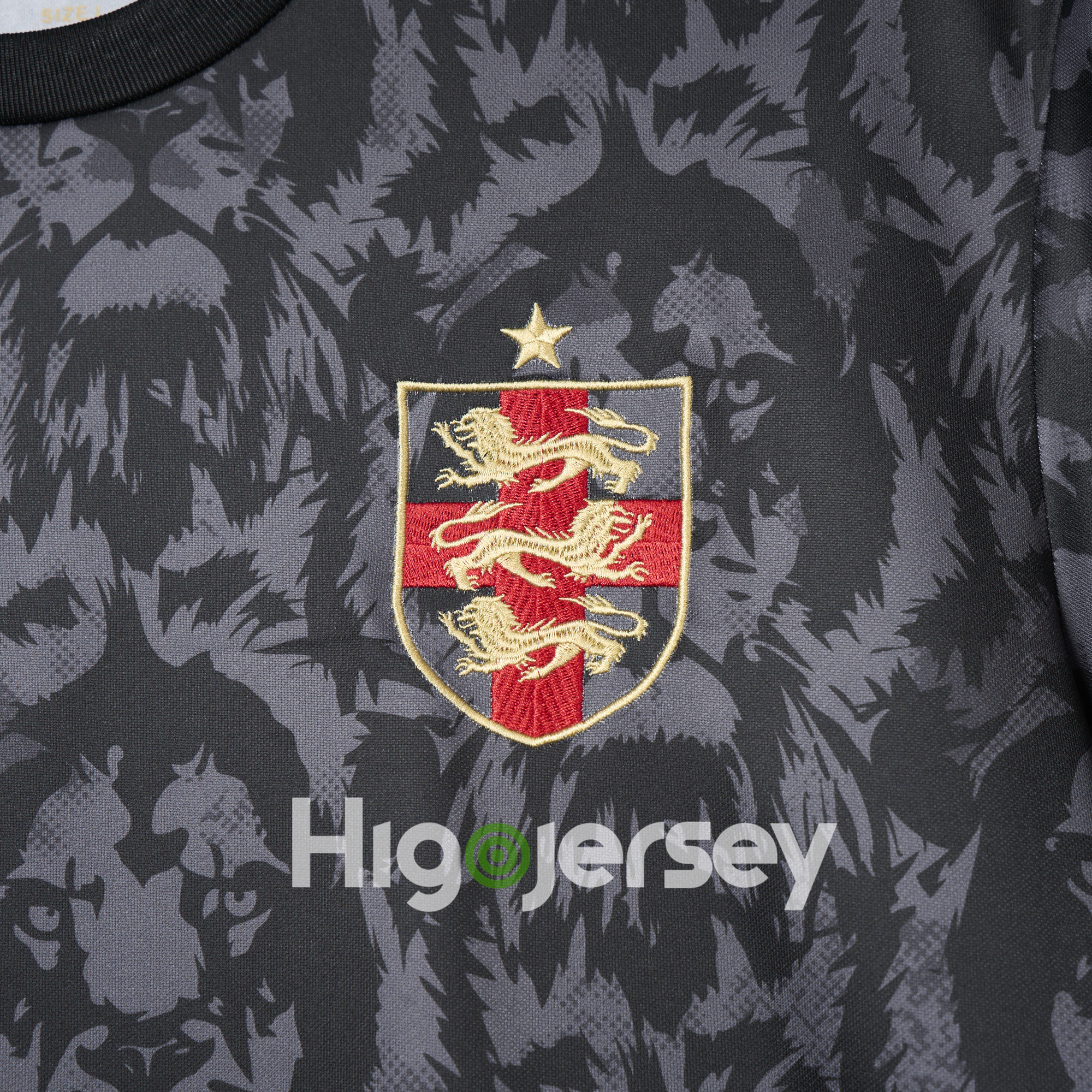 Higojerseys-England 2024 Black The Lions Special Edition Jersey - Fans Version