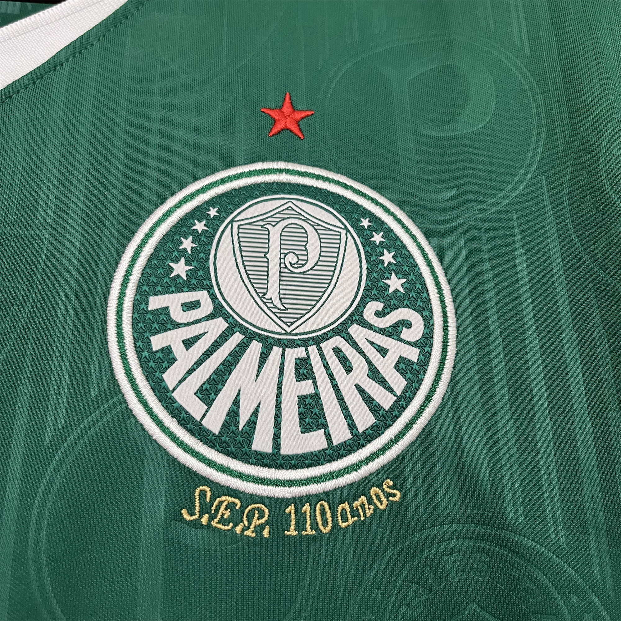 SIUjerseys-Palmeiras 2024 Home Stadium Jersey - Fans Version