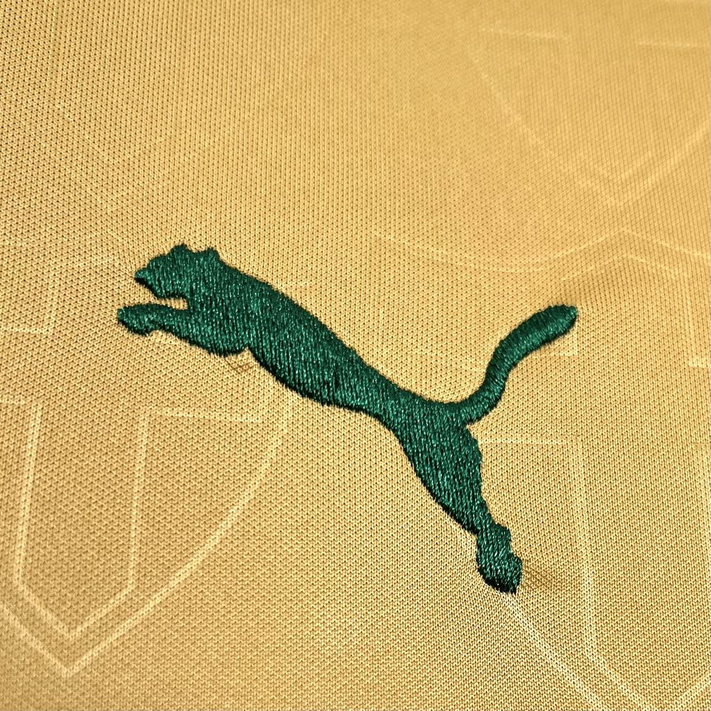 foot-Palmeiras 24-25 Third Jersey - Fans Version