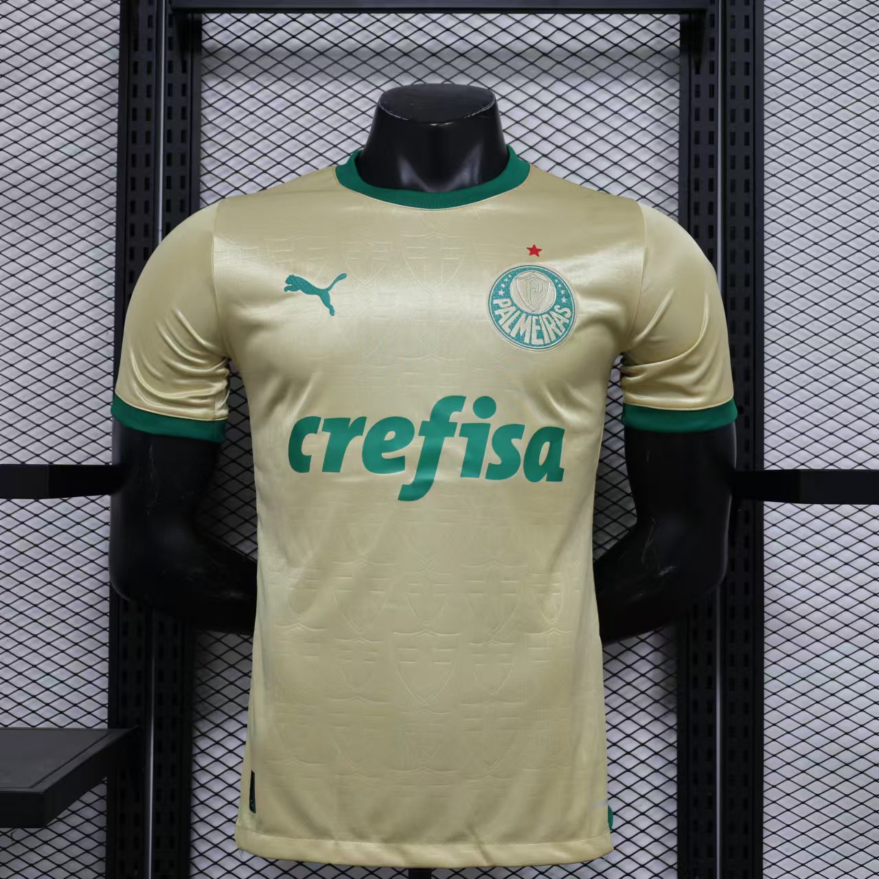 ManixJersey.com | Palmeiras 2024 110-Year Anniversary Jersey - Player Version -Customize Name, Number and Patch | Worldwide Shipping