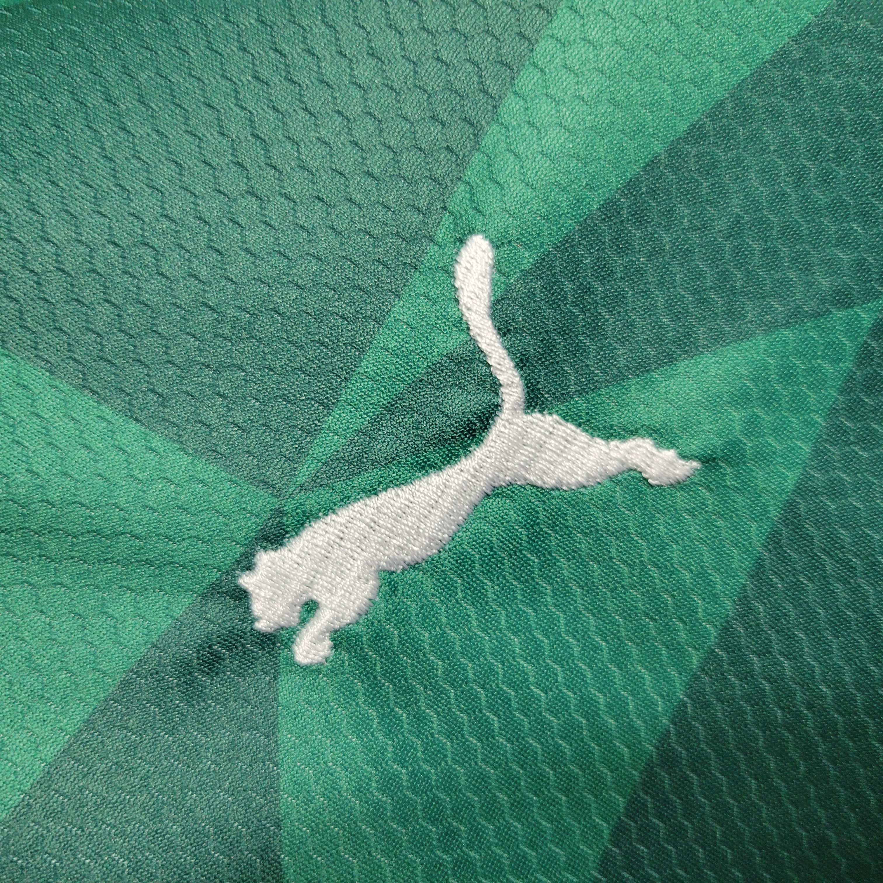 foot-Palmeiras 2023 Home Stadium Kids Kit