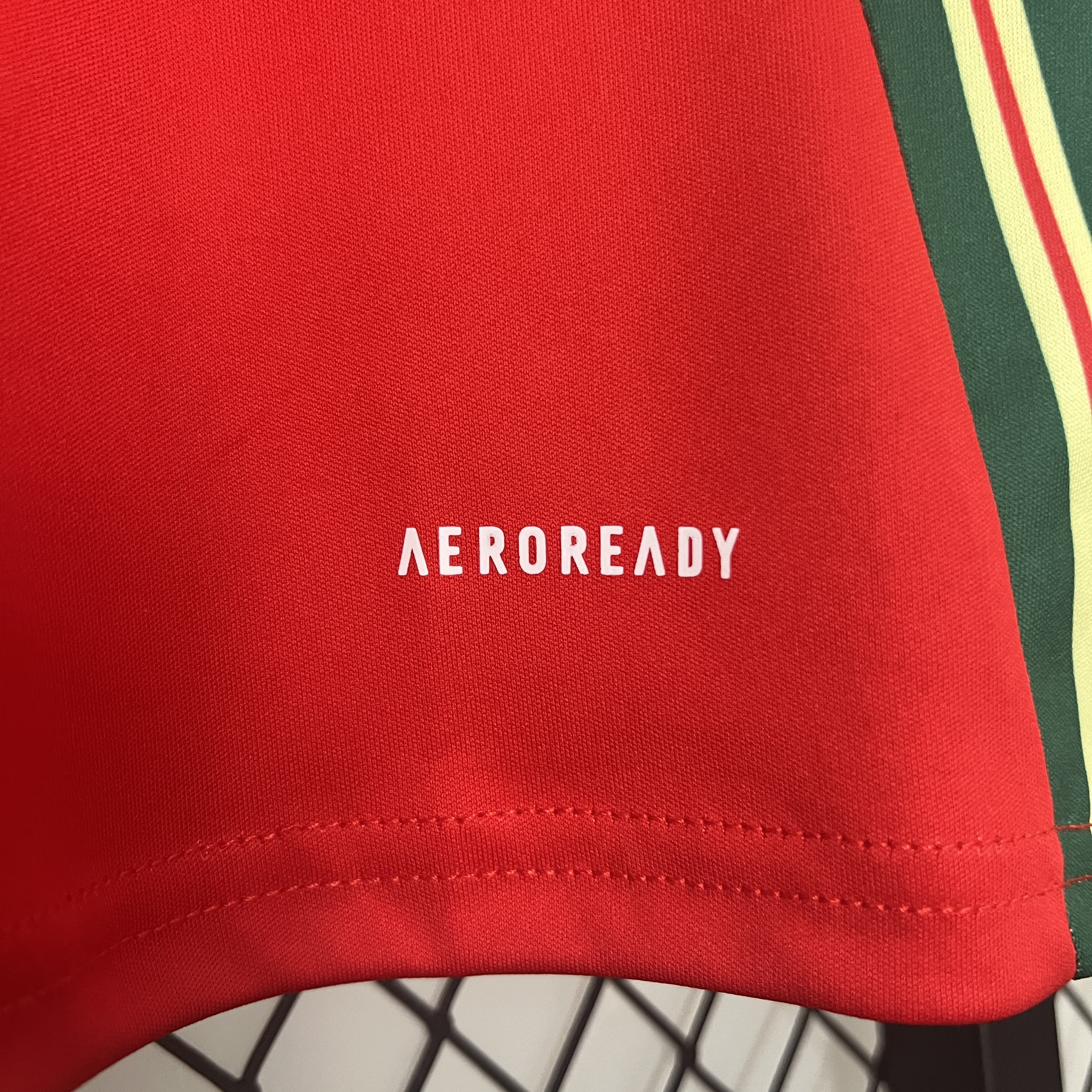 SIUjerseys-Wales 2024 Home Stadium Jersey - Fans Version