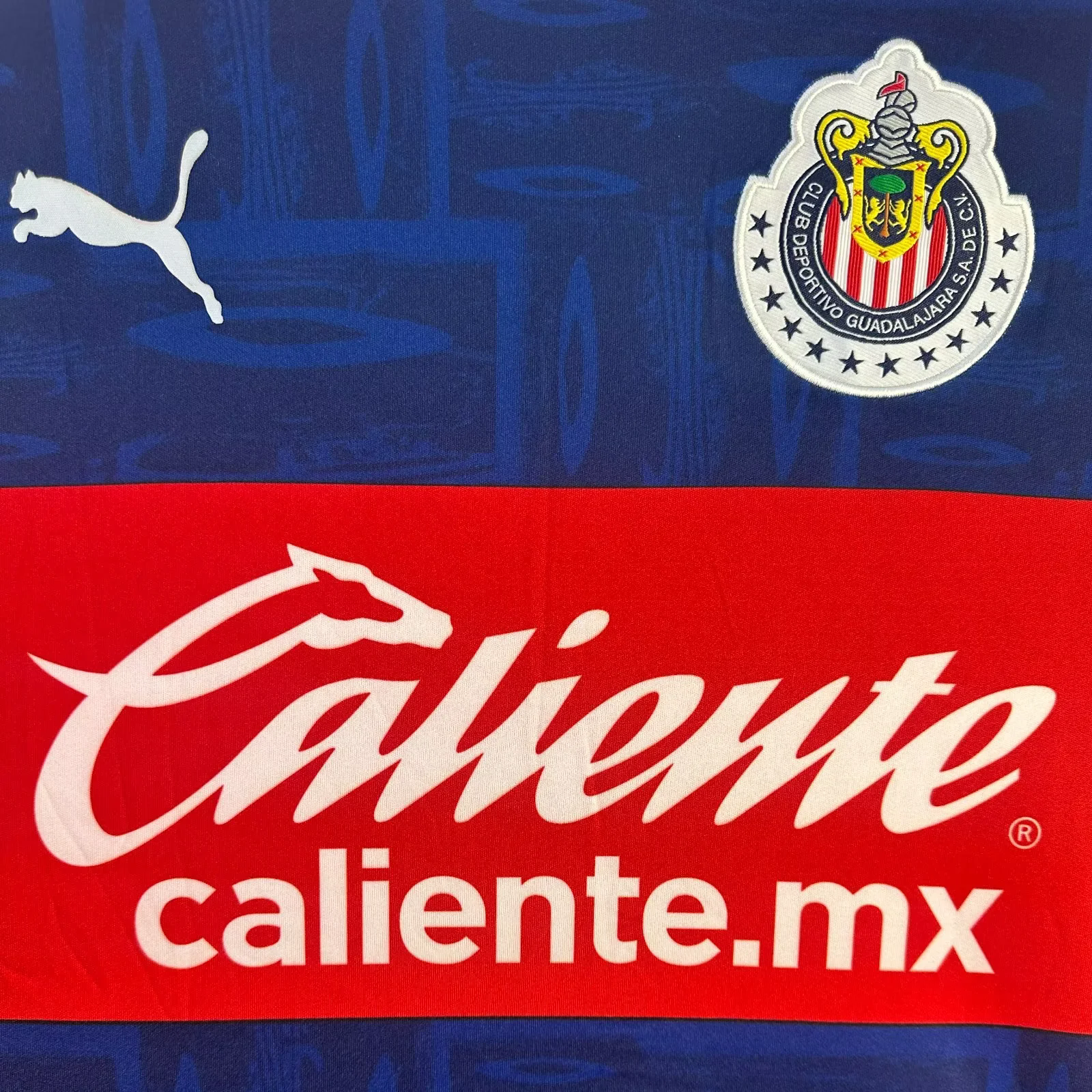 SIUjerseys-Retro Chivas de Guadalajara 2019-20 Away Long Sleeves Jersey