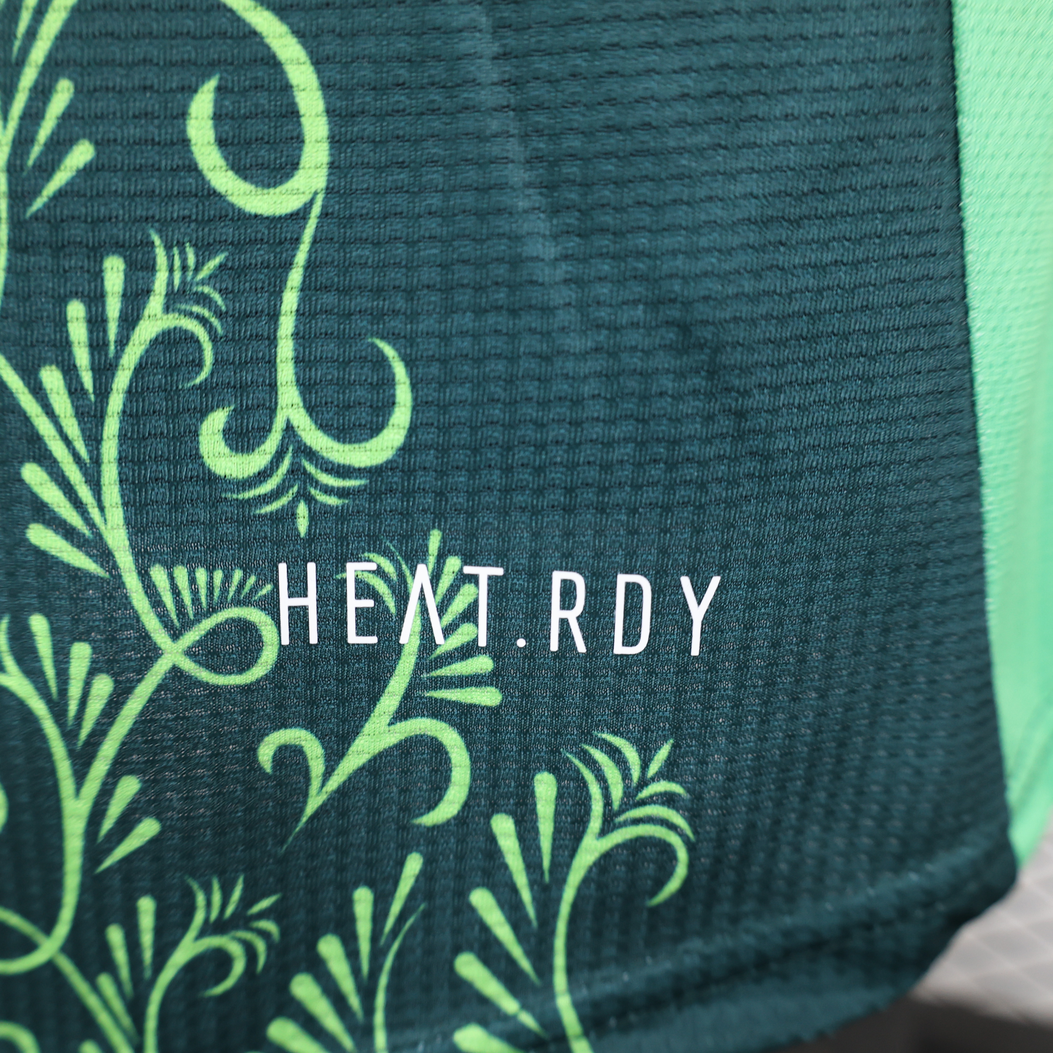 SIUjerseys-Algeria 2024-25 Away Jersey - Player Version