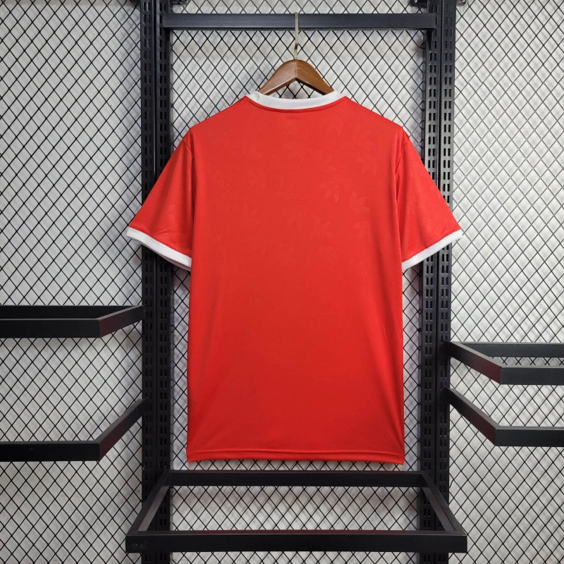 ManixJersey.com | Bayern Munich 24-25 Red Training Jersey - Fans Version -Customize Name, Number and Patch | Worldwide Shipping