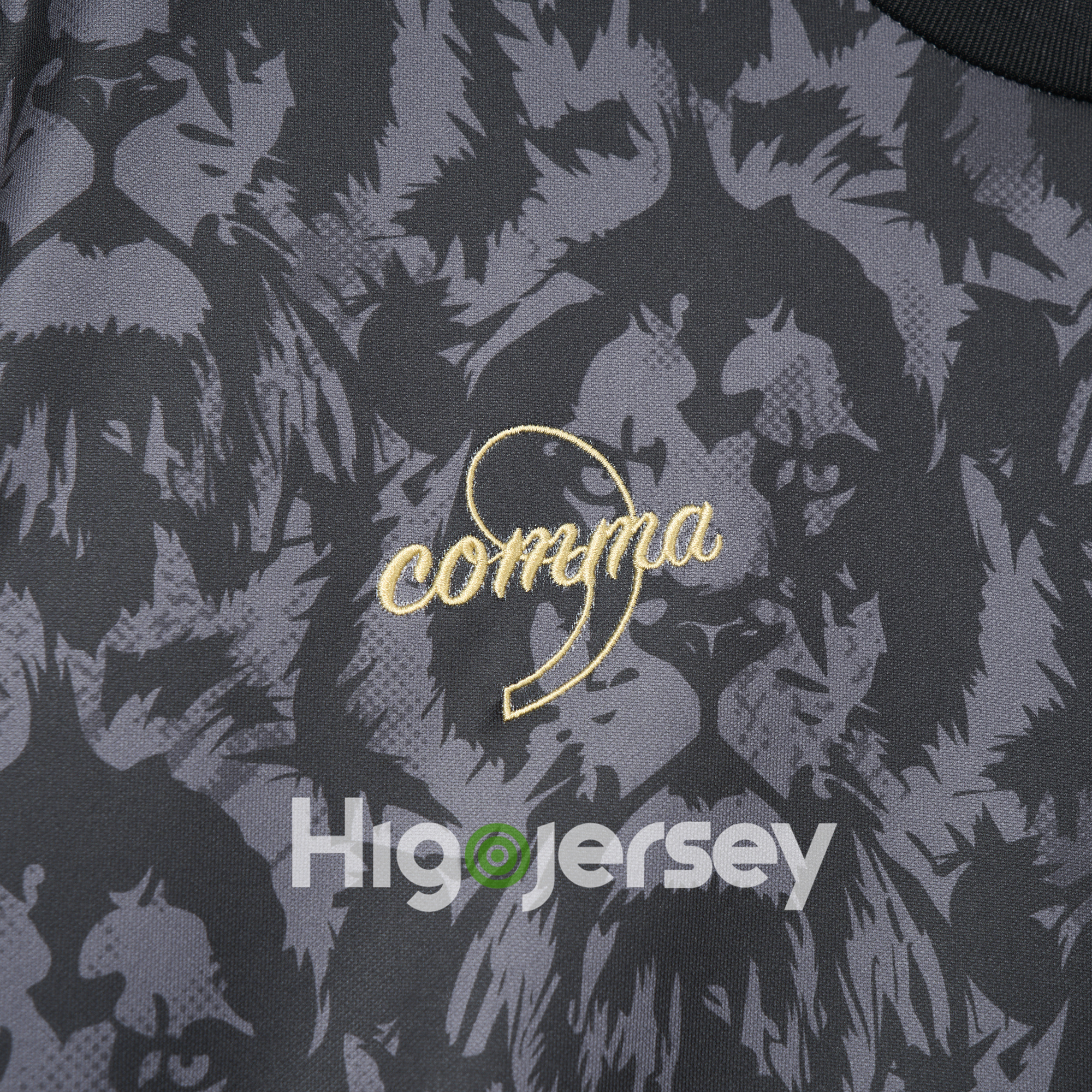 Higojerseys-England 2024 Black The Lions Special Edition Jersey - Fans Version