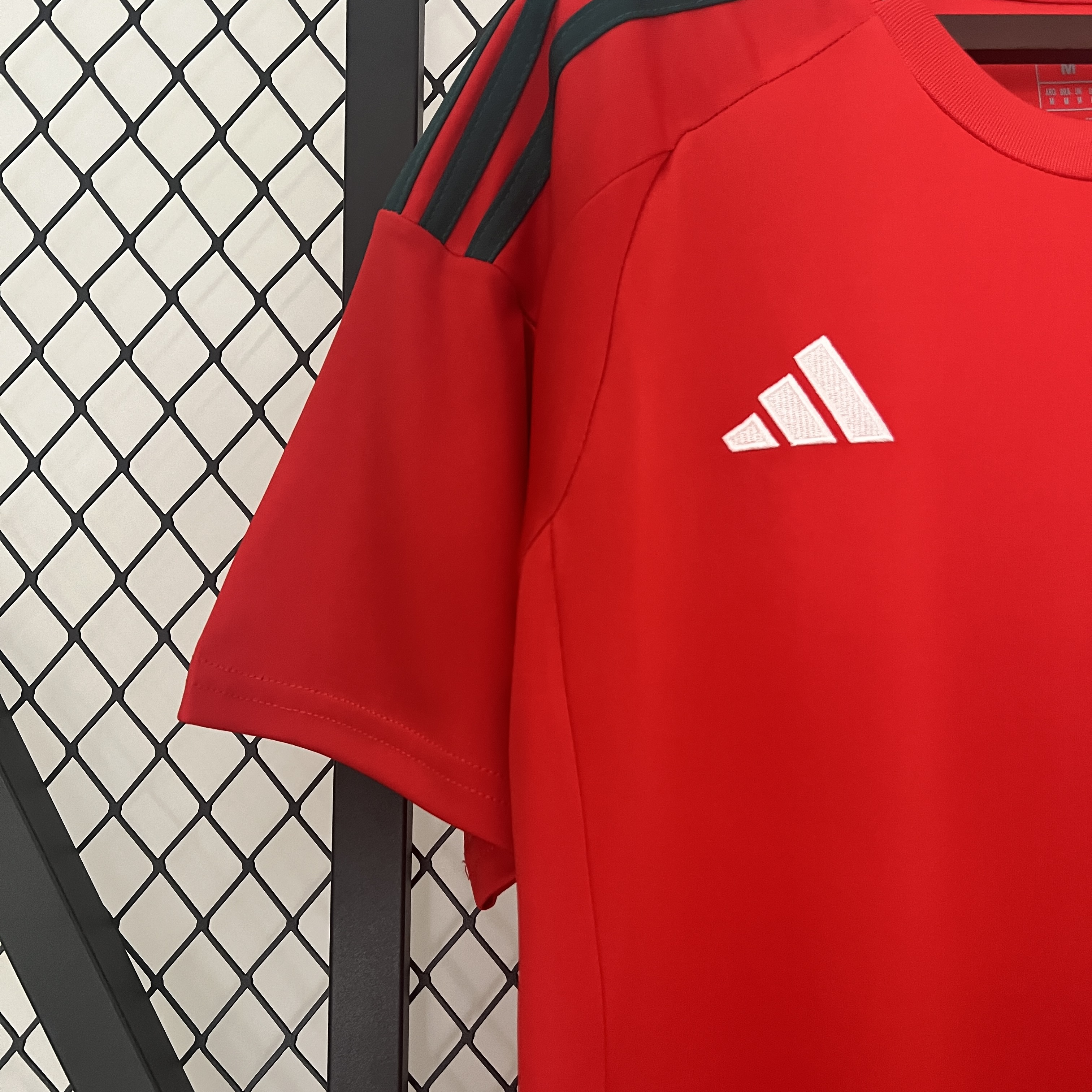 SIUjerseys-Wales 2024 Home Stadium Jersey - Fans Version