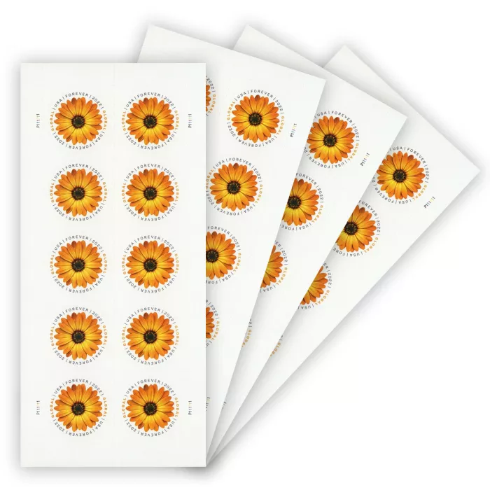 Global African Daisy 2022 StampsStamnow.com