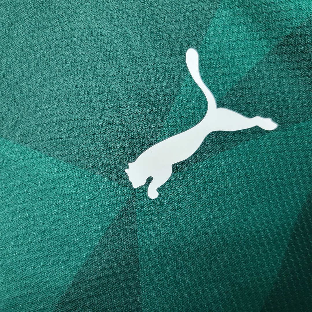 SIUjerseys-Palmeiras 2023 Home Stadium Jersey - Fans Version