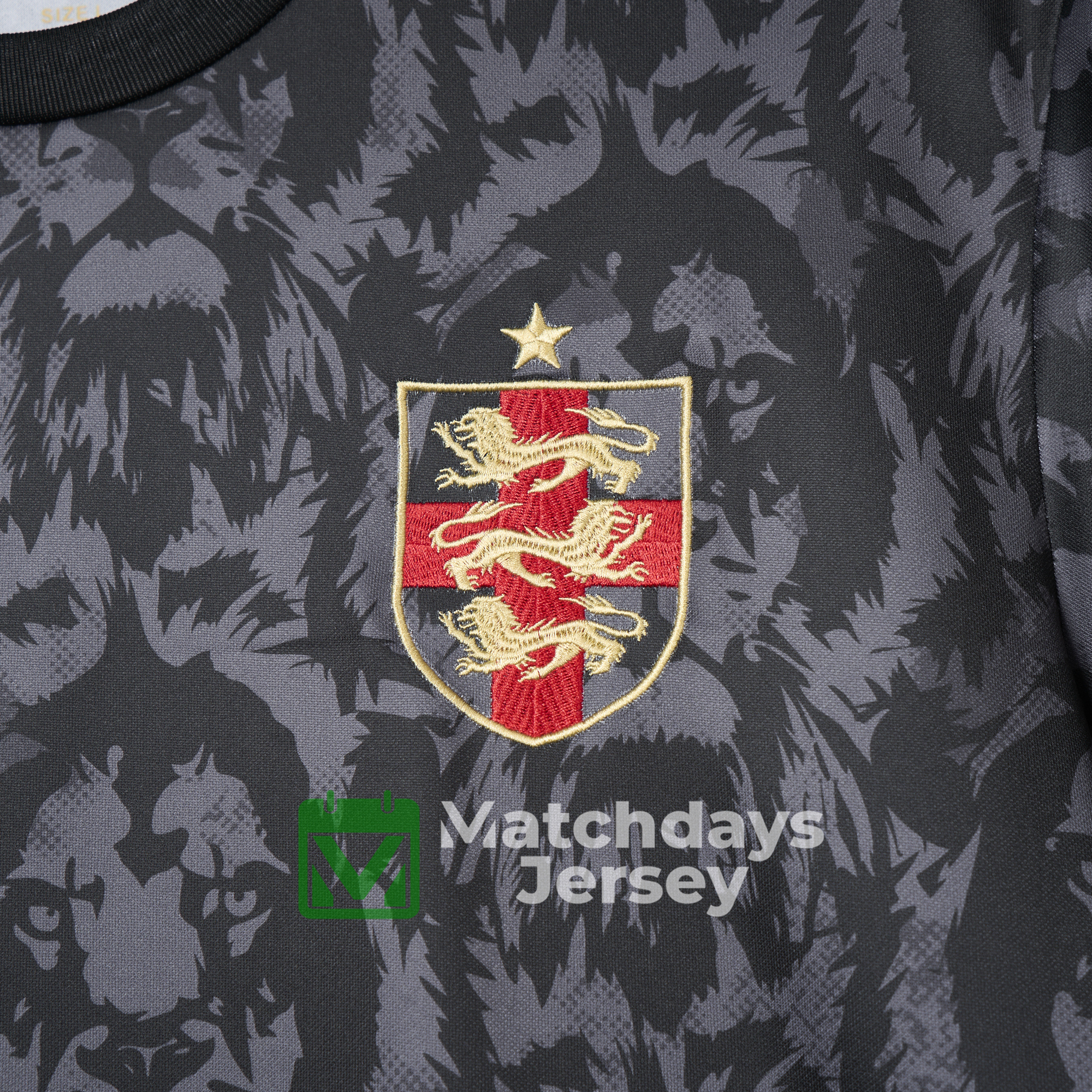 GlobeJersey-England 2024 Black The Lions Special Edition Jersey - Fans Version