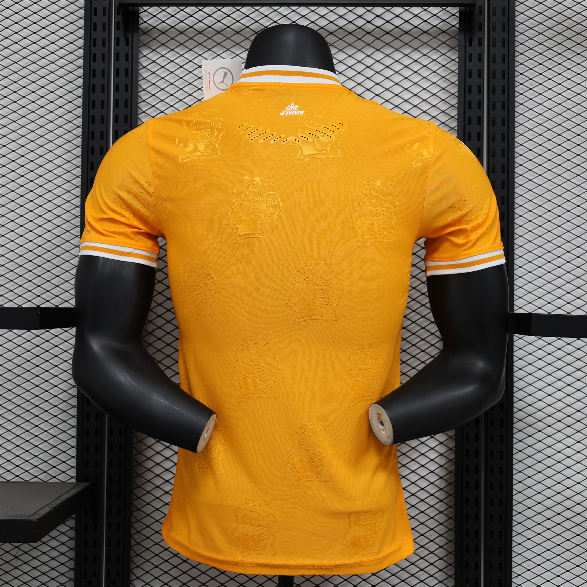 ManixJersey.com | Ivory Coast 2024 Orange Elephant Special Edition Jersey - Player Version -Customize Name, Number and Patch | Worldwide Shipping