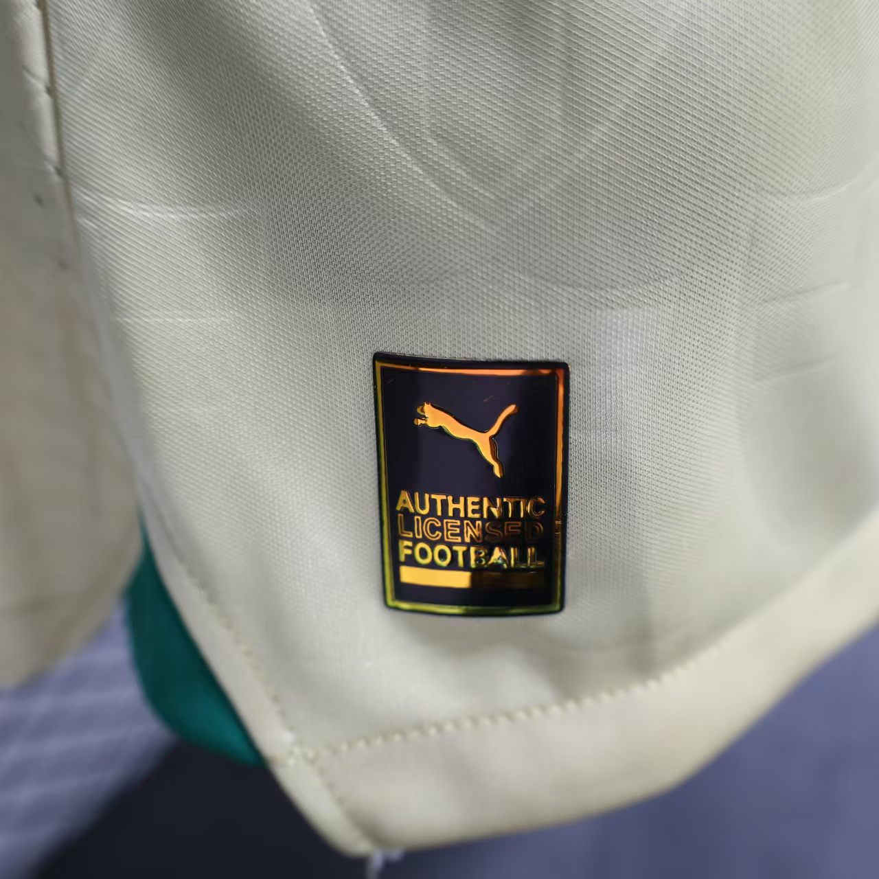 ManixJersey.com | Palmeiras 2024 110-Year Anniversary Jersey - Player Version -Customize Name, Number and Patch | Worldwide Shipping