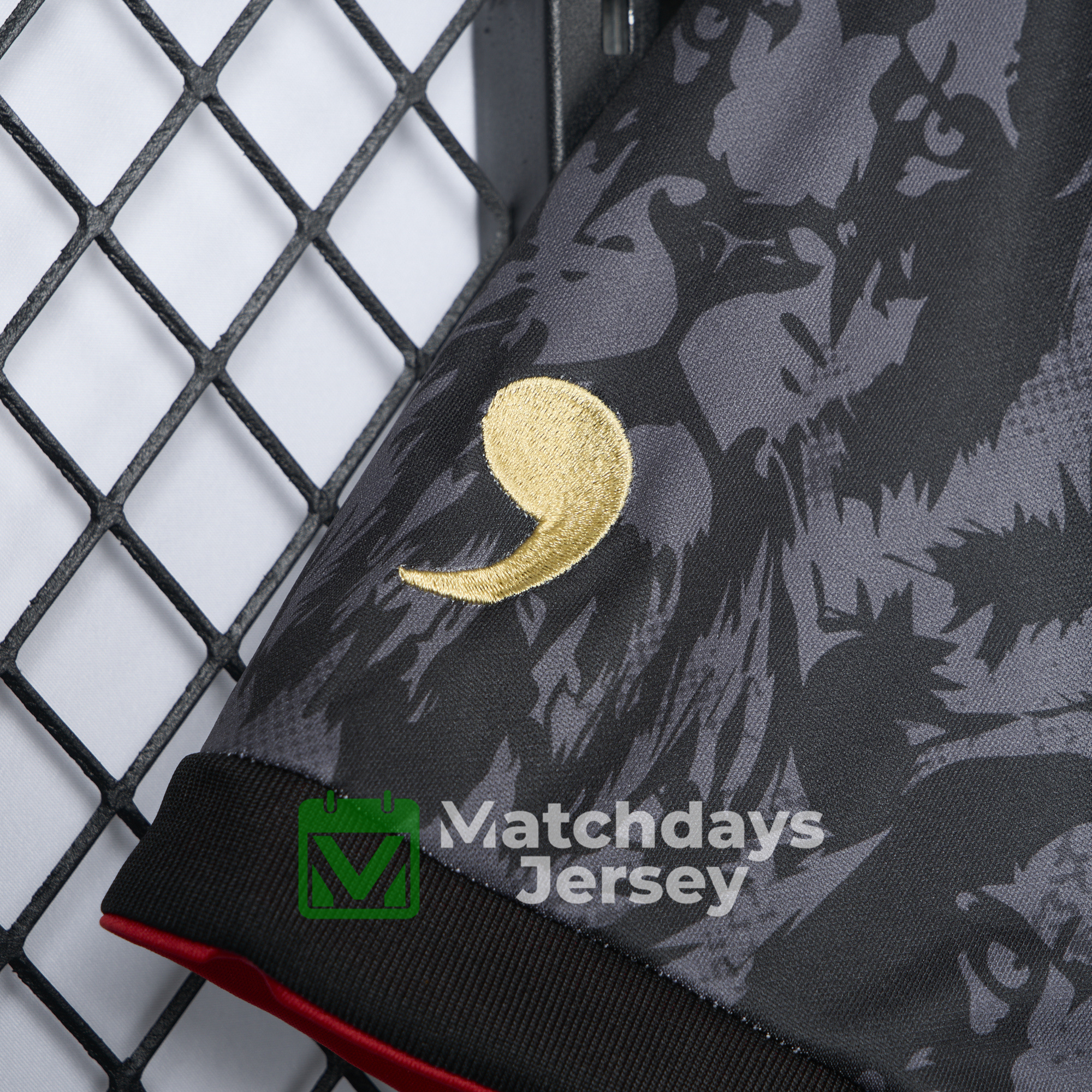 GlobeJersey-England 2024 Black The Lions Special Edition Jersey - Fans Version