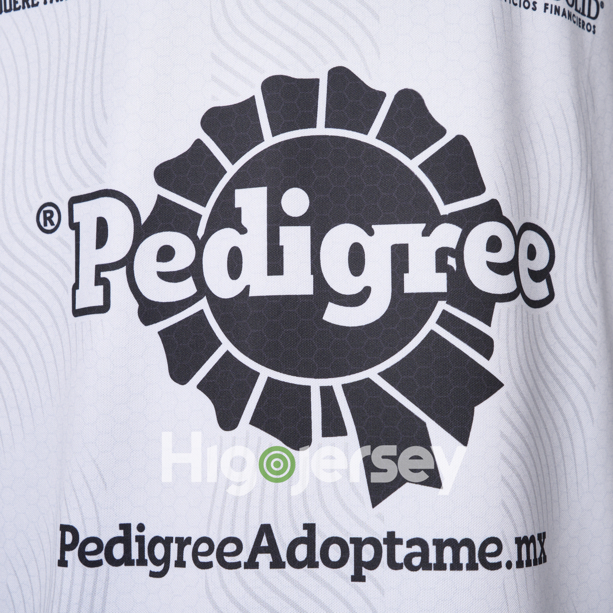 Higojerseys-Querétaro 24-25 Away Jersey - Player Version