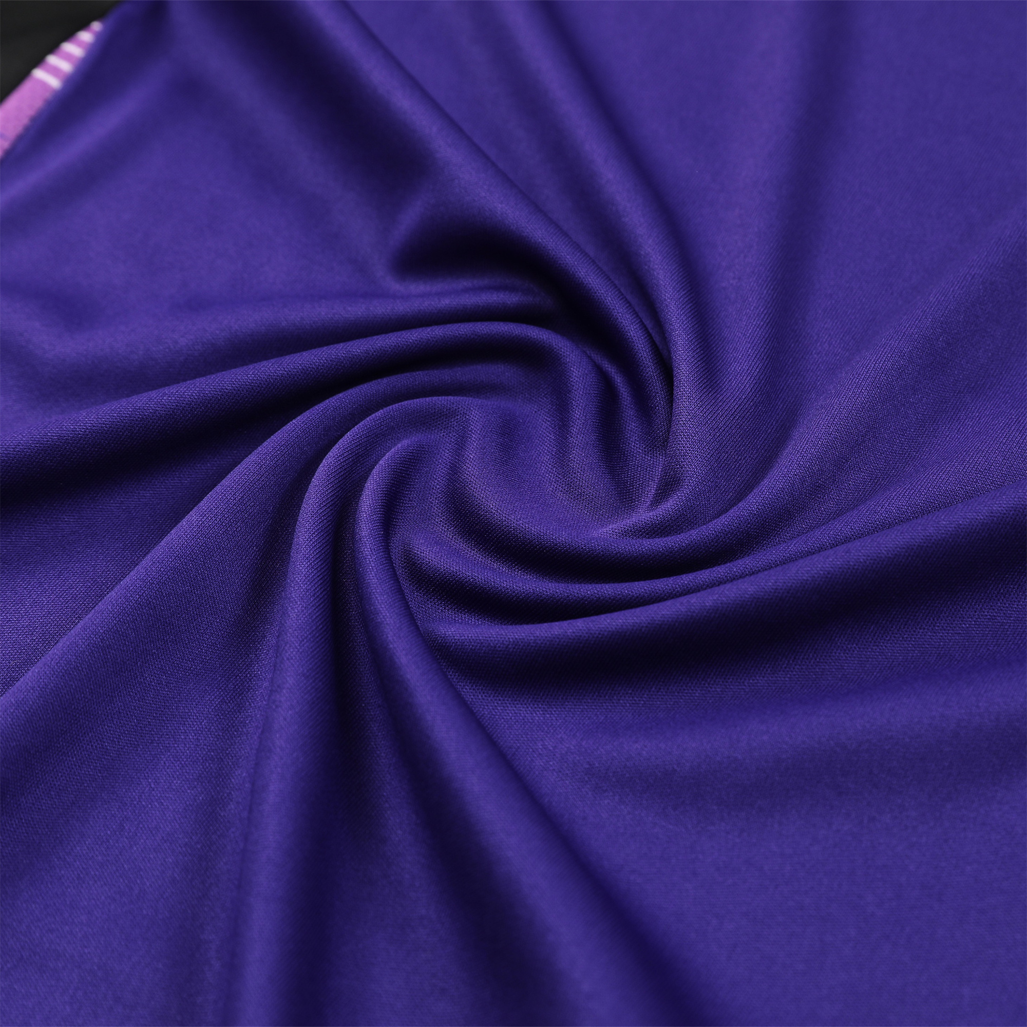 SIUjerseys-Germany 24-25 Training Vest Suit - Purple