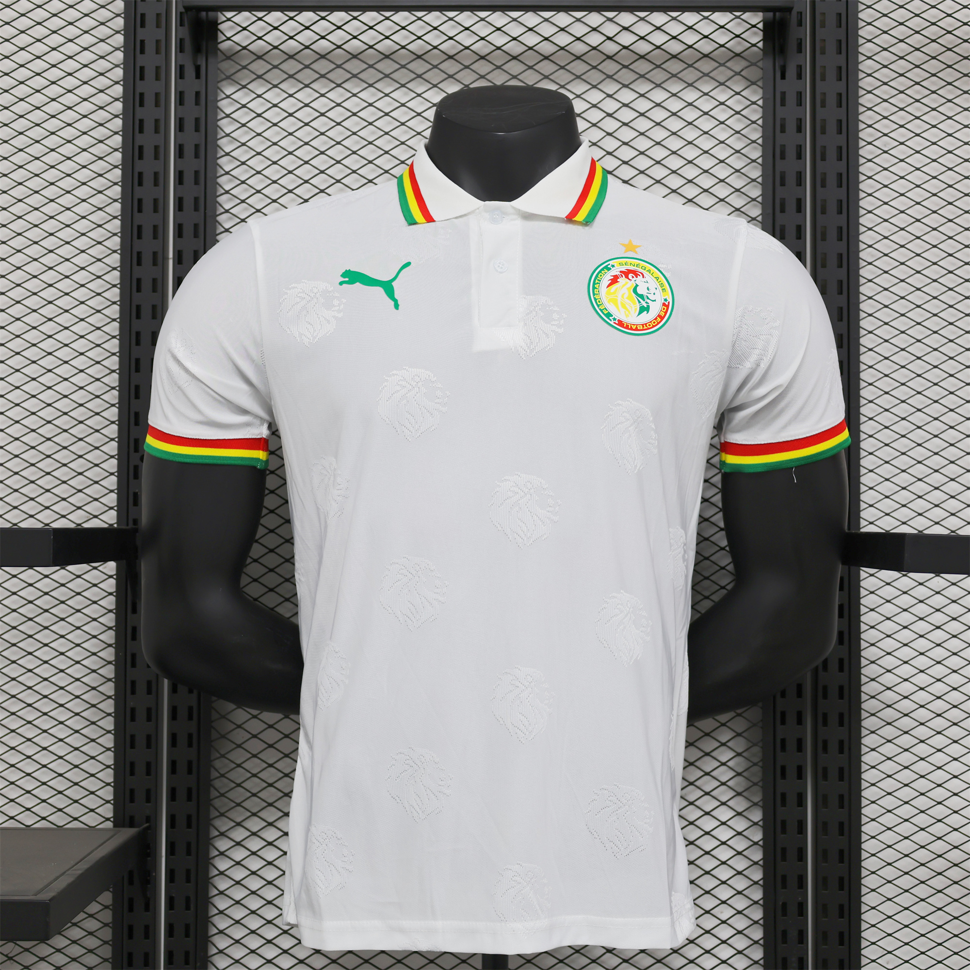 unitedfutballjersey-Senegal 2024 White Special Edition Jersey - Player Version