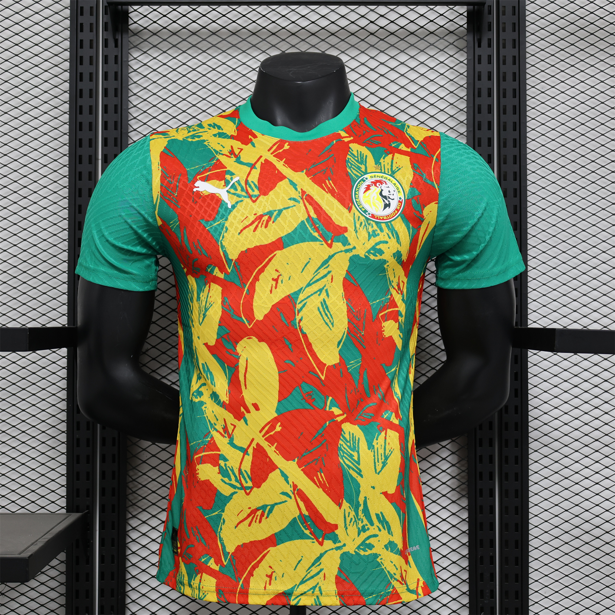 ManixJersey.com | Senegal 24-25 Pre-Match Jersey - Player Version -Customize Name, Number and Patch | Worldwide Shipping
